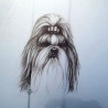 Shih - tzu