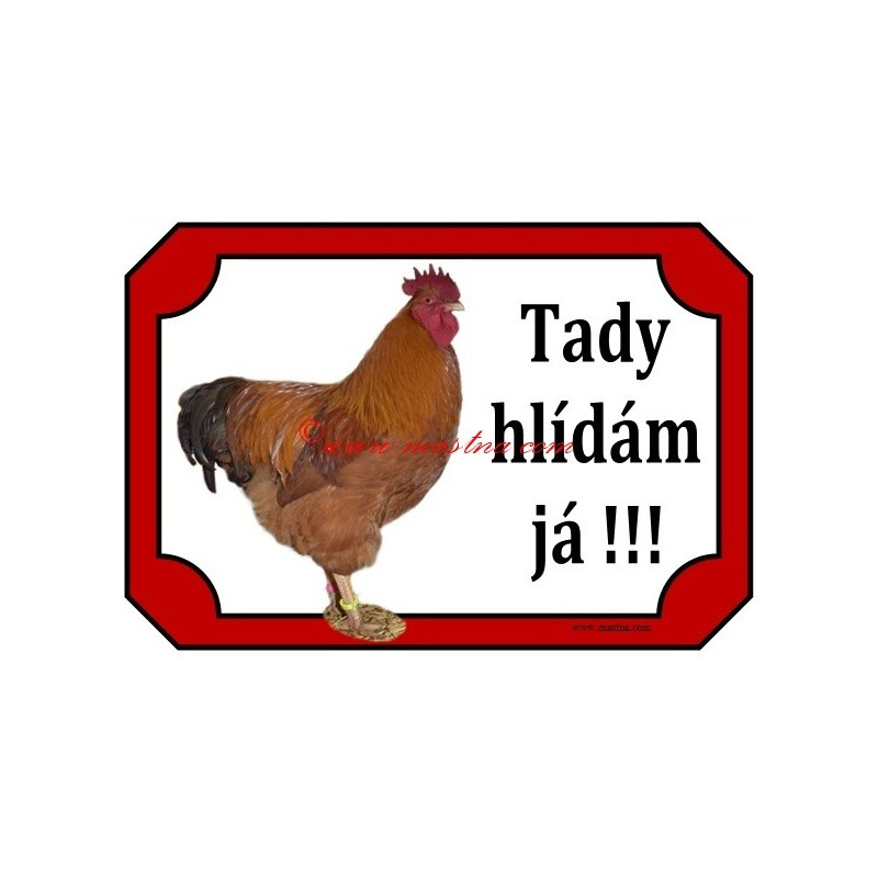 Tabulka kohout hampshire, hempšír, drůbež