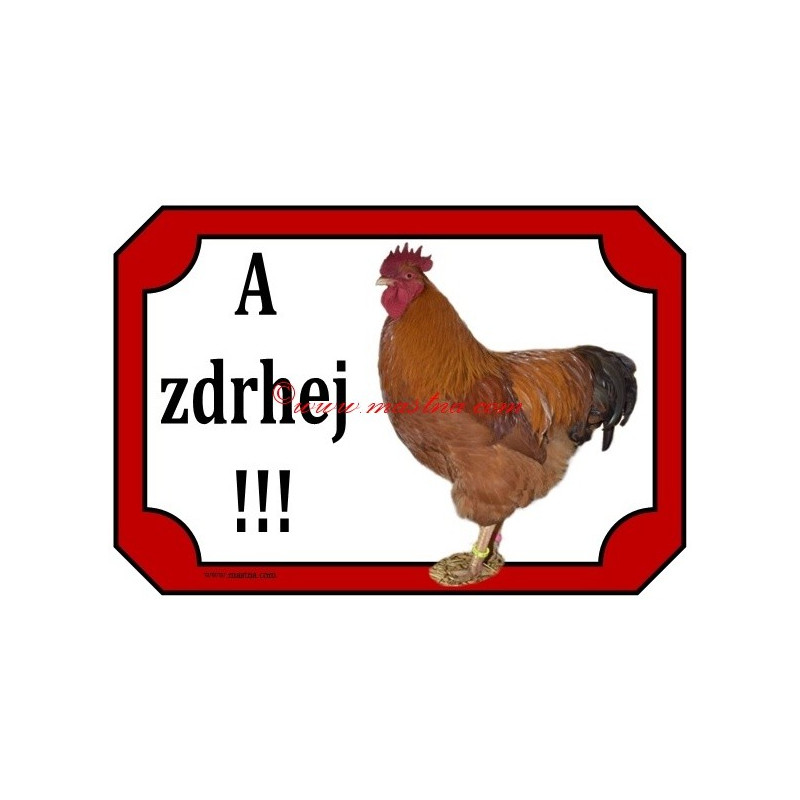 Tabulka kohout hampshire, hempšír, drůbež