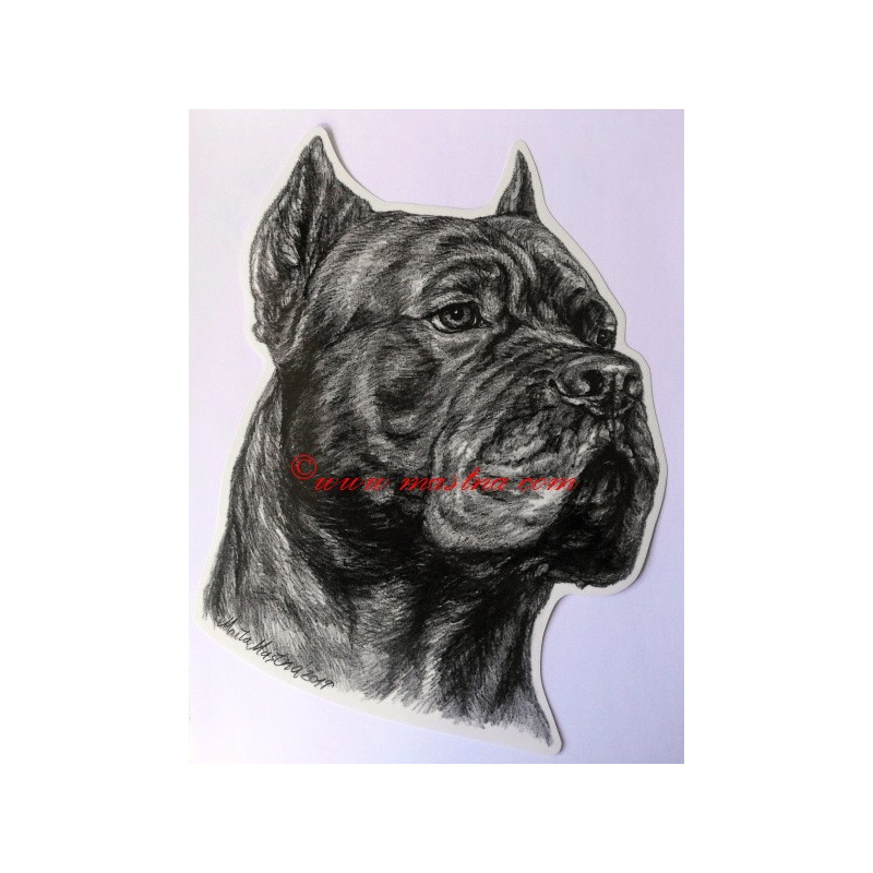 Samolepka cane corso