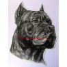 Samolepka cane corso
