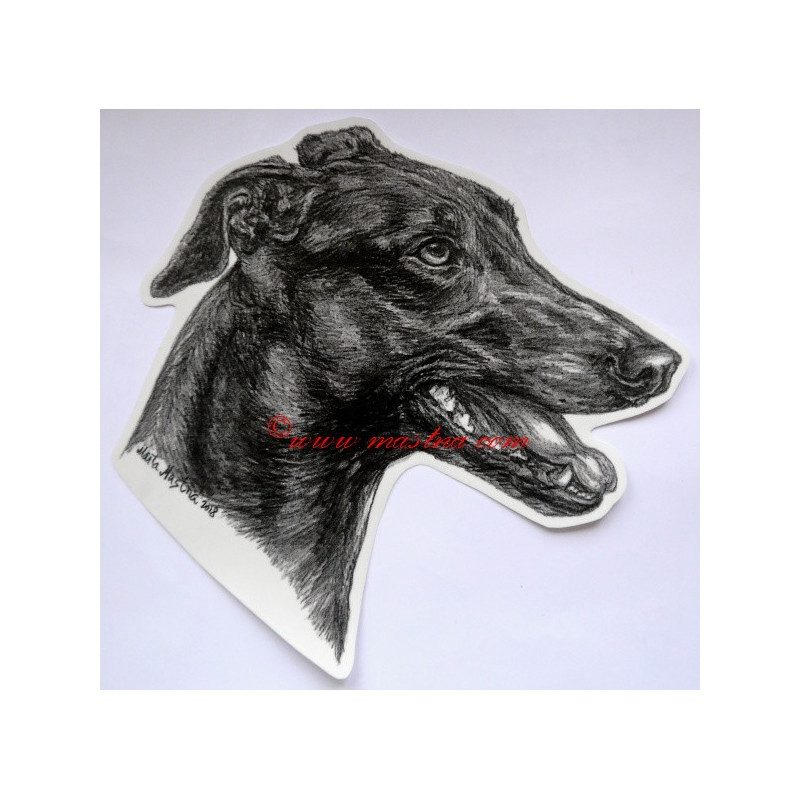 Samolepka greyhound, anglický chrt, vipet
