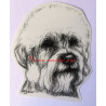 Samolepka Dandie Dinmont teriér