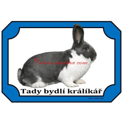 Tabulka králík meklenburský strakáč modrý