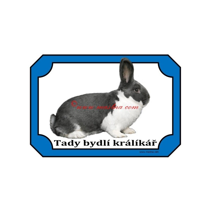 Tabulka králík meklenburský strakáč modrý