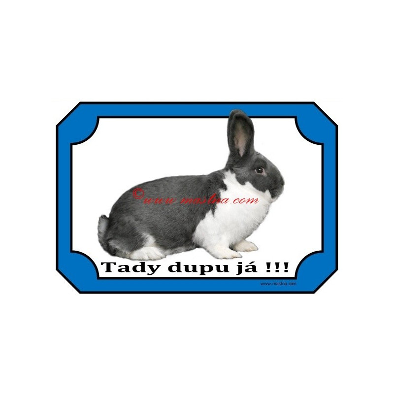 Tabulka králík meklenburský strakáč modrý