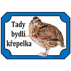 Tabulka křepelka japonská