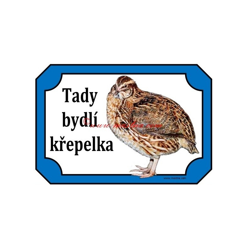 Tabulka křepelka japonská
