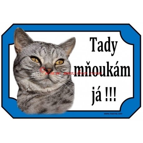 Tabulka kočka britská ,,whiskas"
