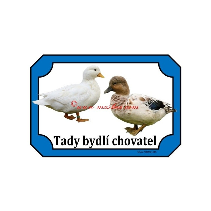 Tabulka kachna zakrslá