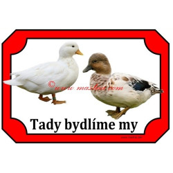 Tabulka kachna zakrslá