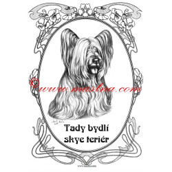 Tabulka skyeteriér, skajteriér