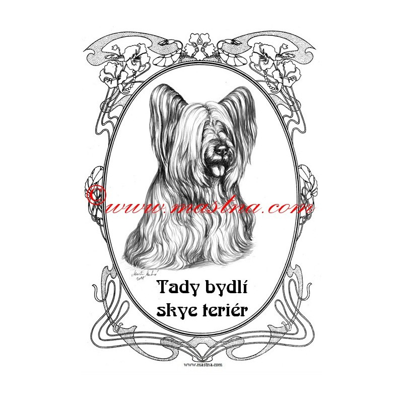 Tabulka skyeteriér, skajteriér