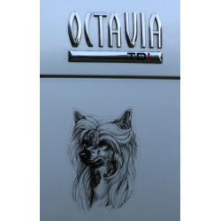 Čínský chocholatý pes