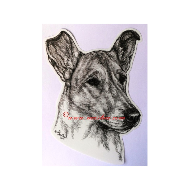 Samolepka kolie krátkosrstá