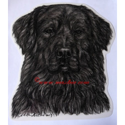 Samolepka hovawart černý