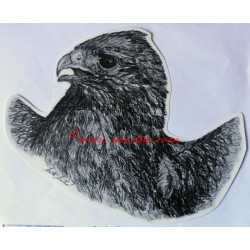 Samolepka dravec, káně