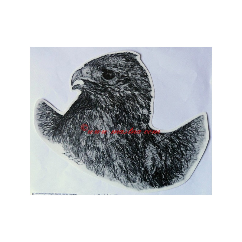 Samolepka dravec, káně