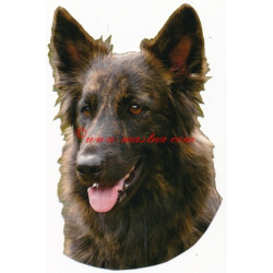 Samolepka holandský ovčák dlouhosrstý - archiv