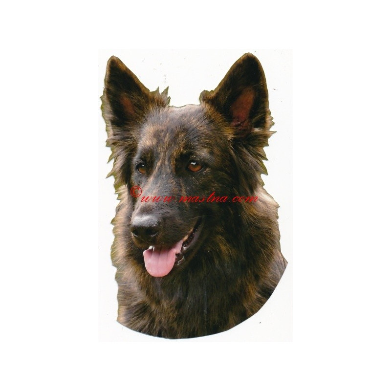 Samolepka holandský ovčák dlouhosrstý - archiv