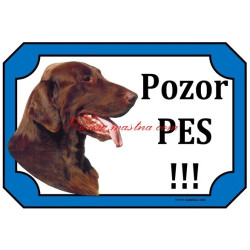 Tabulka flat coated retrívr