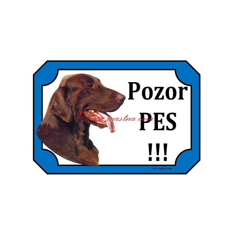 Tabulka flat coated retrívr