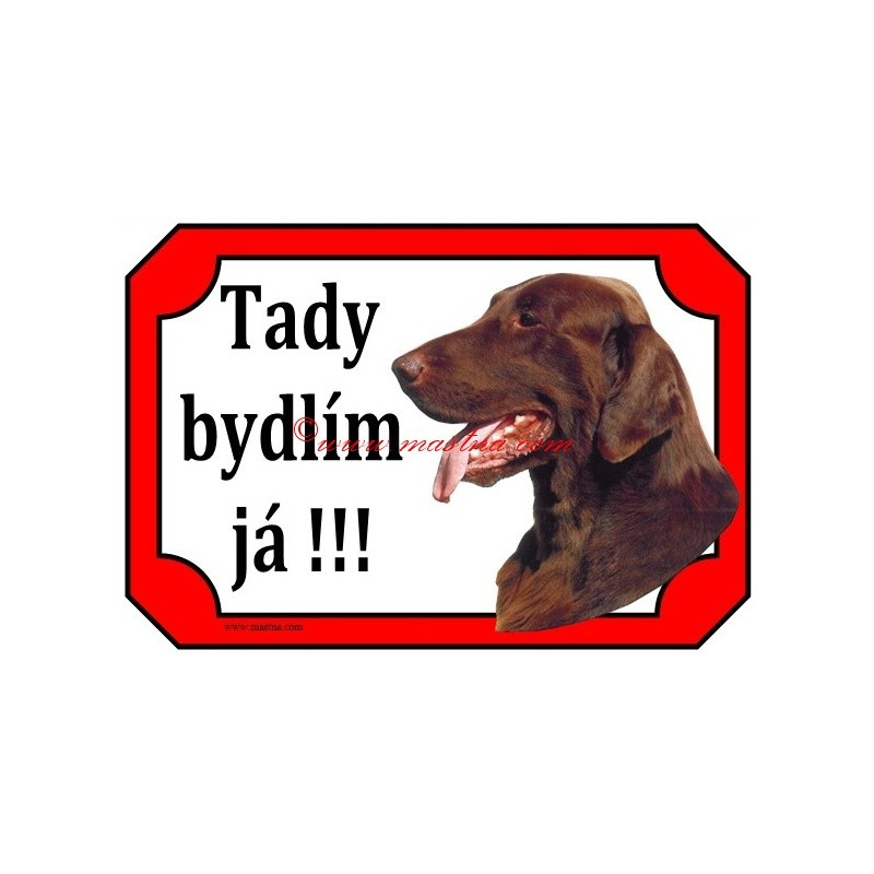 Tabulka flat coated retrívr