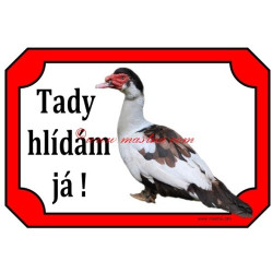 Tabulka kachna pižmová, čínská, husokachna, barbarie