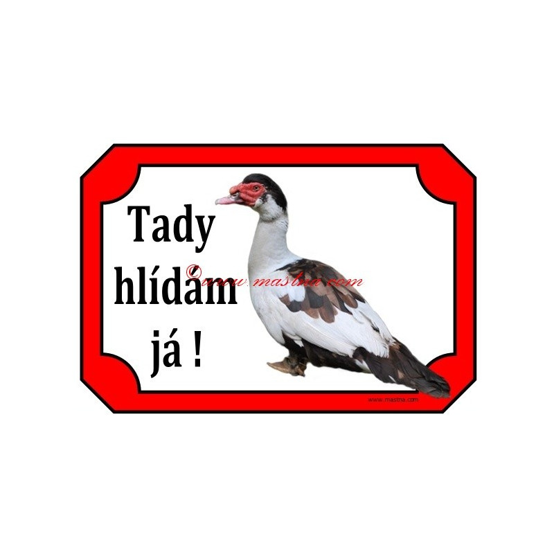 Tabulka kachna pižmová, čínská, husokachna, barbarie