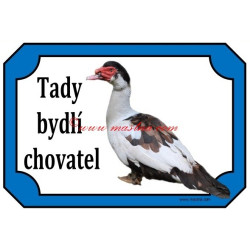 Tabulka kachna pižmová, čínská, husokachna, barbarie