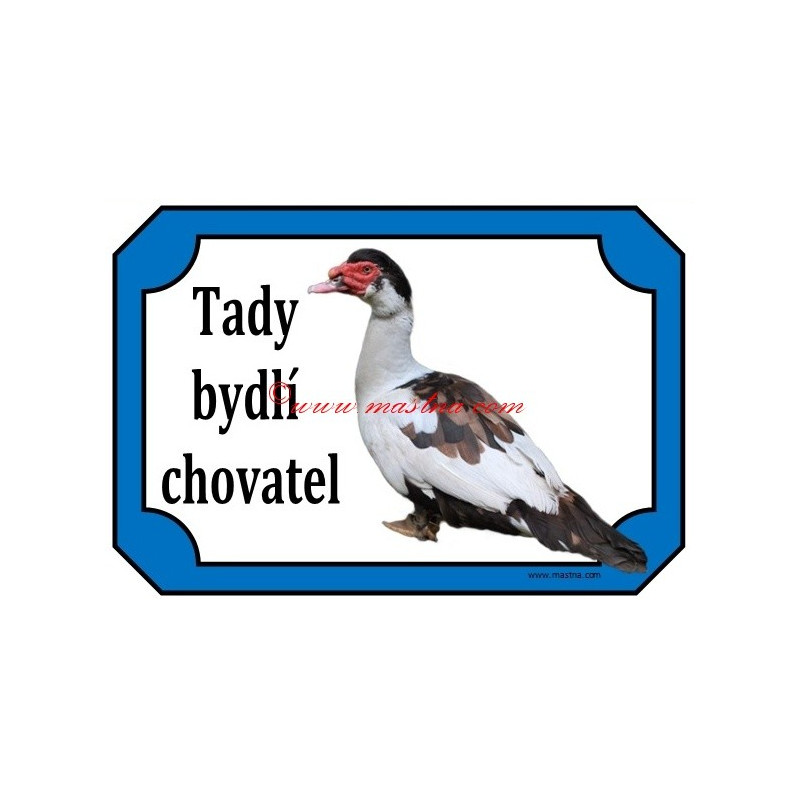 Tabulka kachna pižmová, čínská, husokachna, barbarie