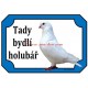 Tabulka holub benešovský