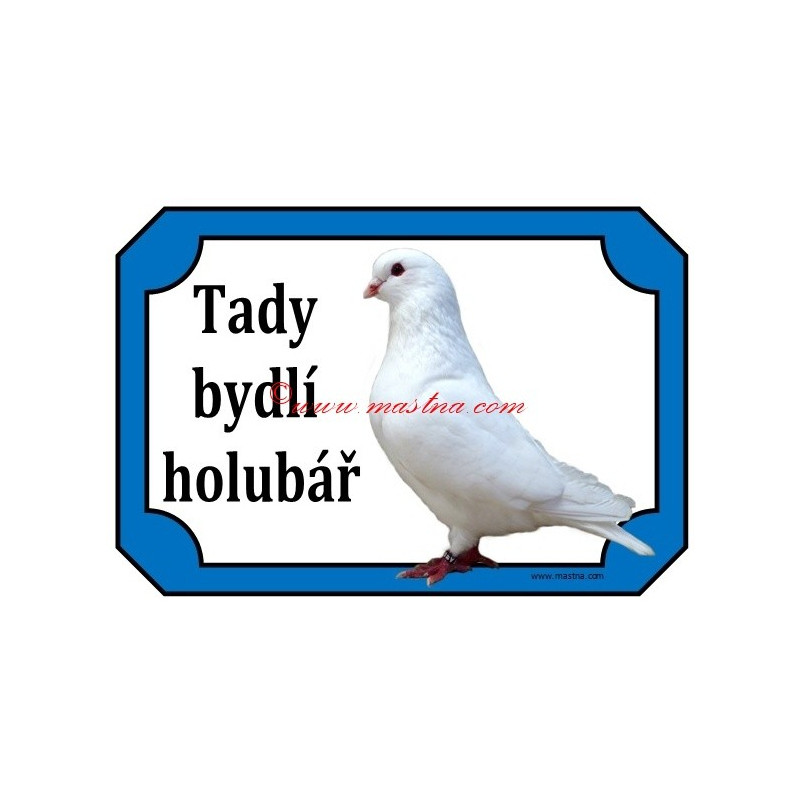 Tabulka holub benešovský