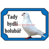 Tabulka holub benešovský