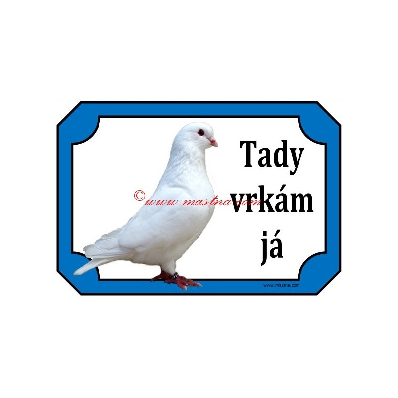 Tabulka holub benešovský