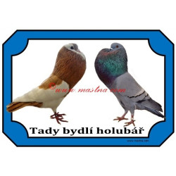 Tabulka holub český stavák
