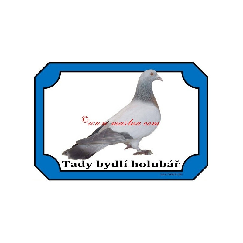 Tabulka holub koburský skřivan