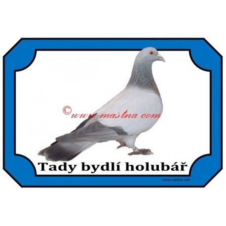 Tabulka holub koburský skřivan