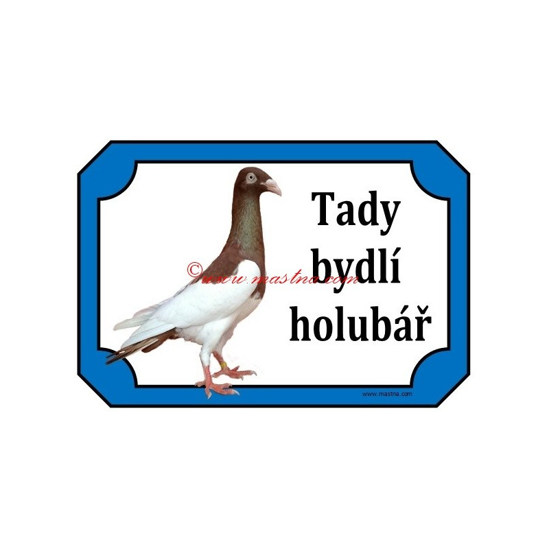 Tabulka holub krakovská straka