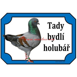 Tabulka holub modenka