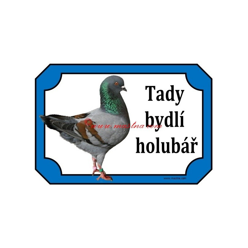 Tabulka holub modenka