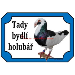 Tabulka holub norimberská bagdeta