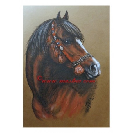 Obraz arabský kůň - pastel
