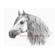 Obraz andaluzan, P.R.E., kůň, koně, tužka - tisk