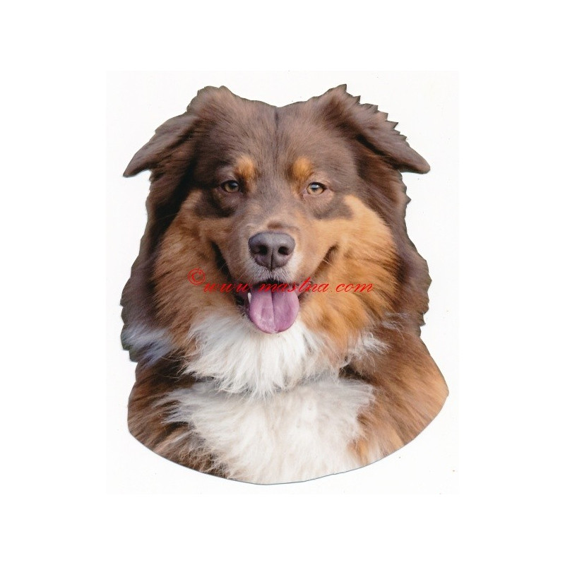 Samolepka australský ovčák