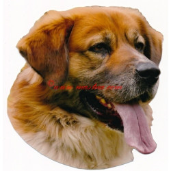 Samolepka český horský pes