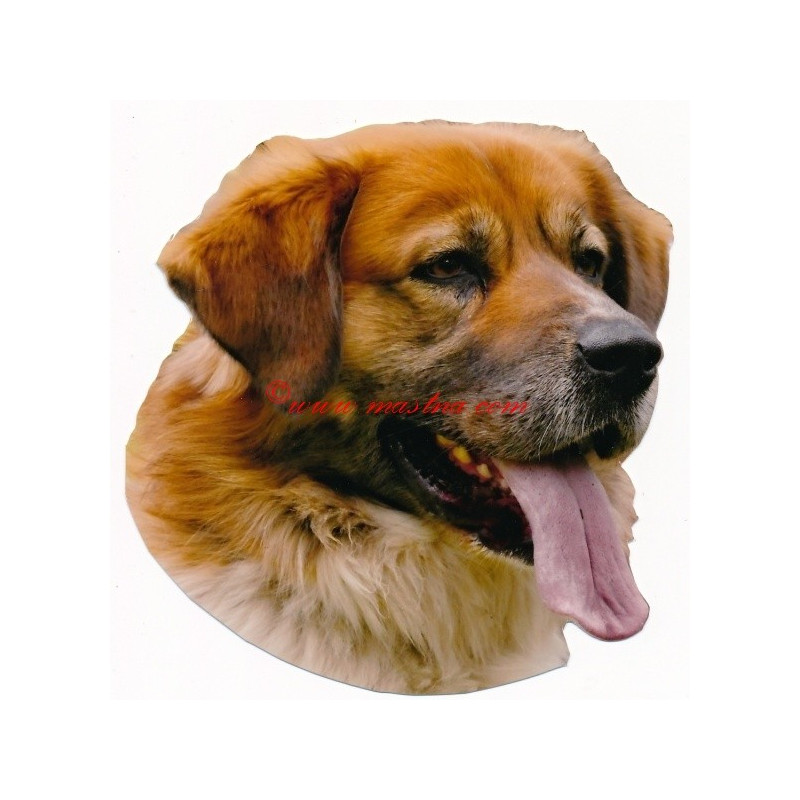 Samolepka český horský pes