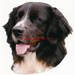 Samolepka český horský pes