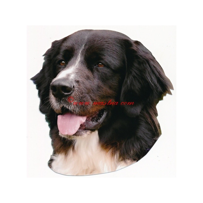 Samolepka český horský pes