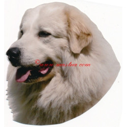 Samolepka pyrenejský horský pes